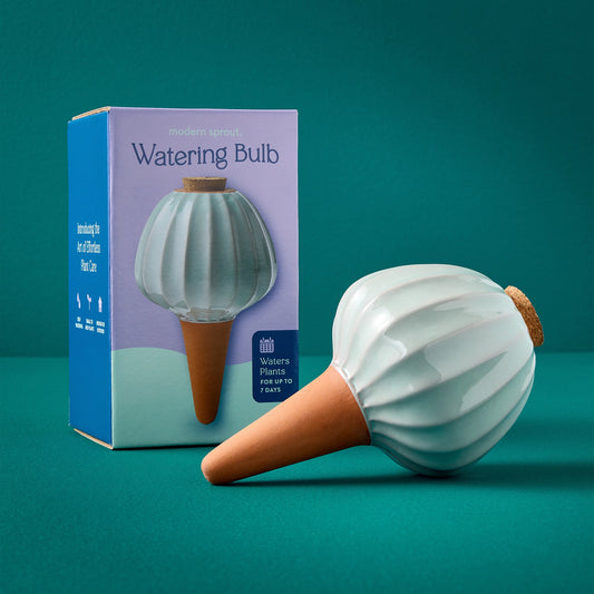 Self-Watering Terracotta Plant Bulb