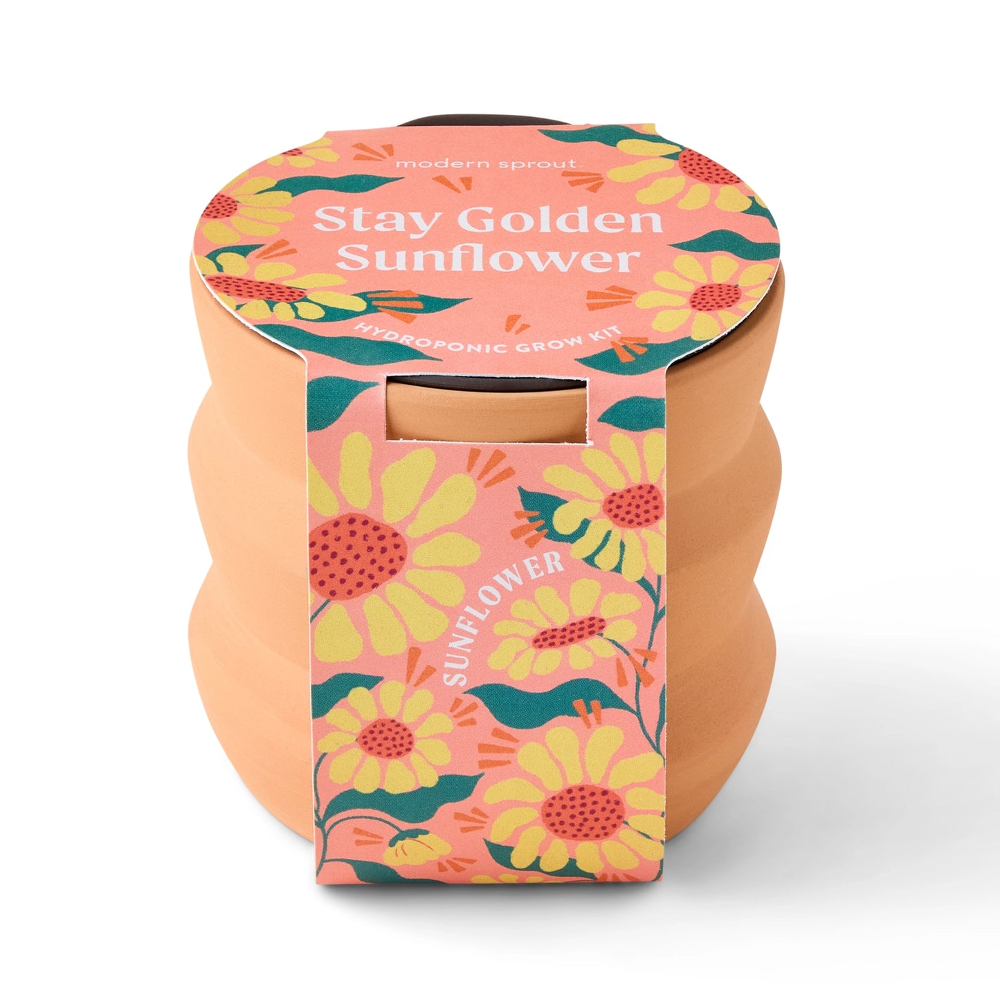 Tiny Terracotta Grow Kit