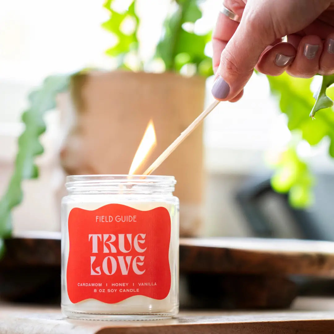 Valentine's Day Field Guide Soy Wax Glass Candle