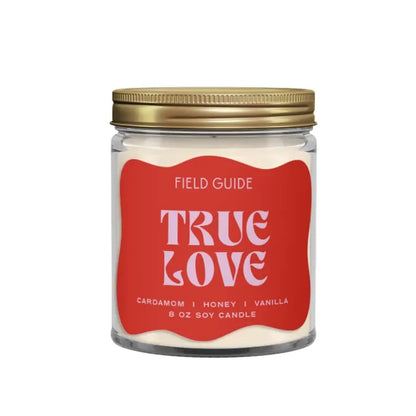 Valentine's Day Field Guide Soy Wax Glass Candle