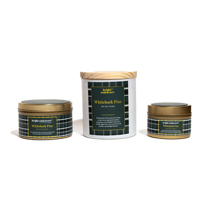 Holiday Whitebark Pine Soy Candle