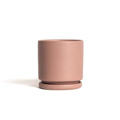 plant pot with plate Momma Pots Gemstone Cylinder 4.5 in. W Porcelain Planter Dusty Rose