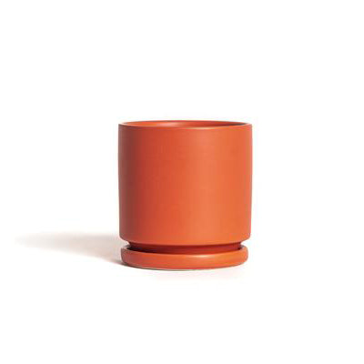 small red ceramic flower pots Momma Pots Gemstone Cylinder 4.5 in. W Porcelain Planter White