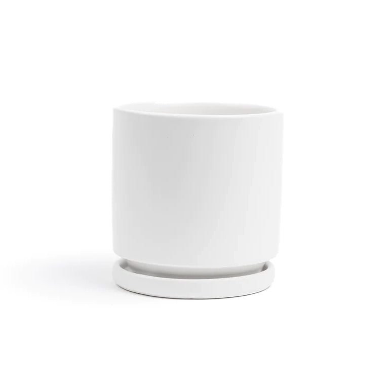 white plastic cylinder planter Momma Pot