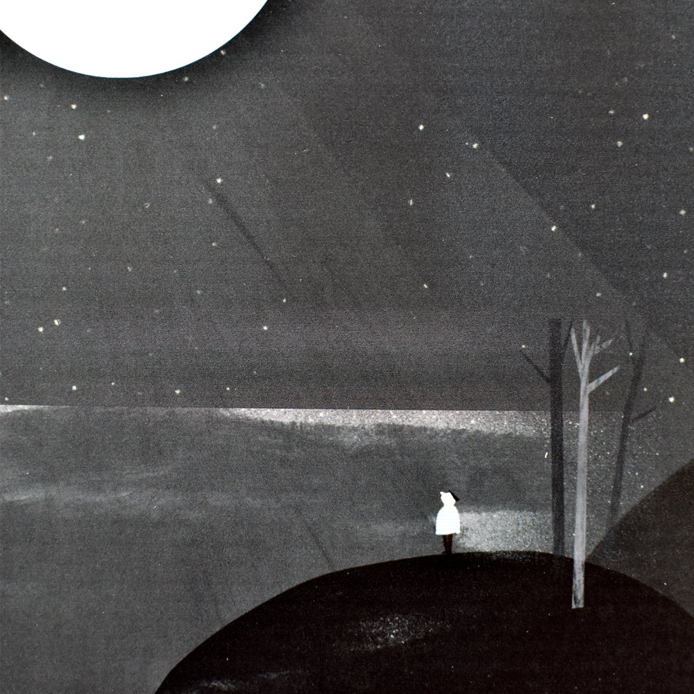 Moonlight 8.25" x 11.75" Archival Print