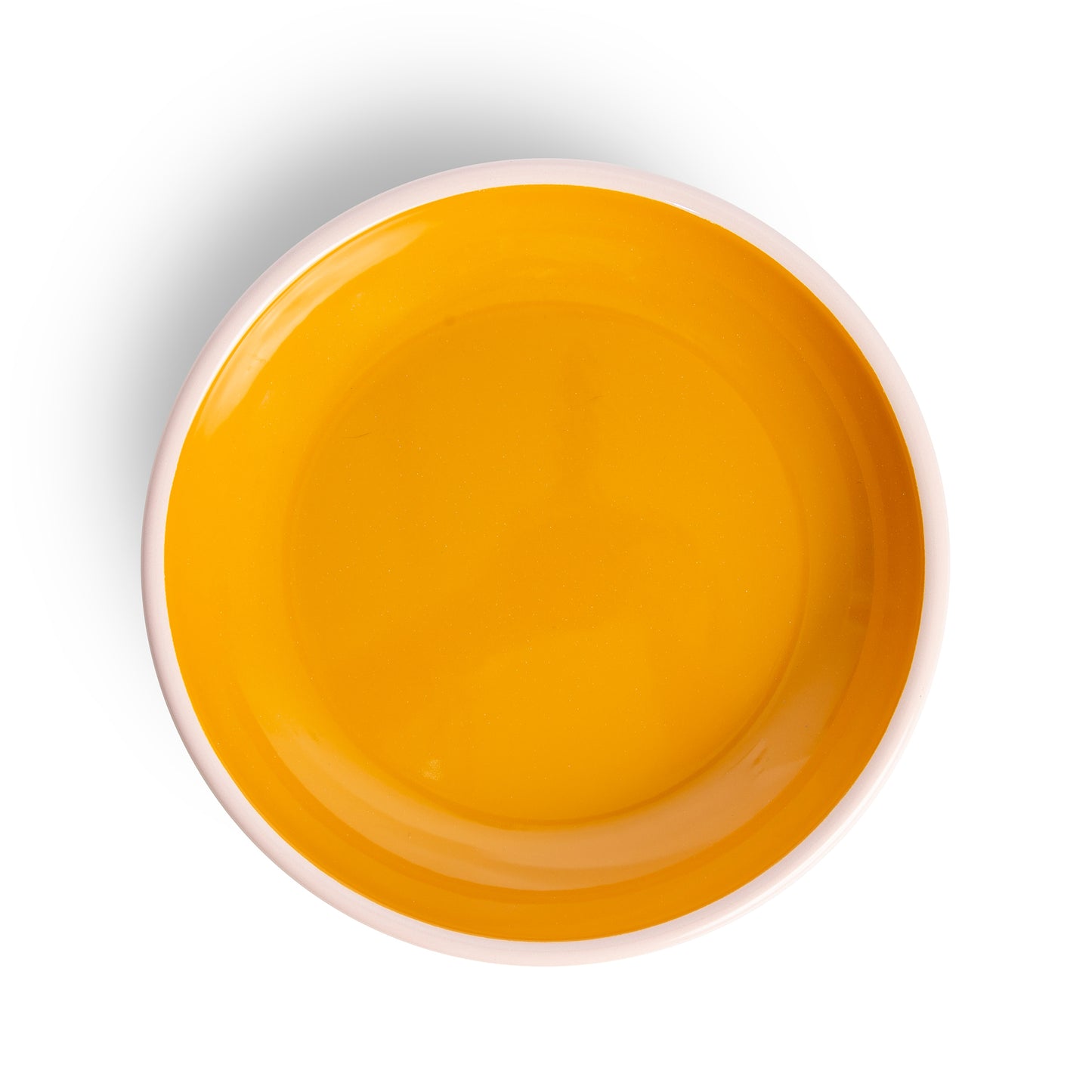 Color Pop Enamelware 10" Dinner Plate
