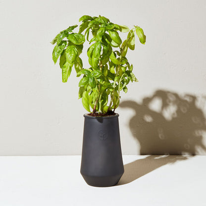 modern sprout self watering planter Modern Sprout Tapered Tumbler