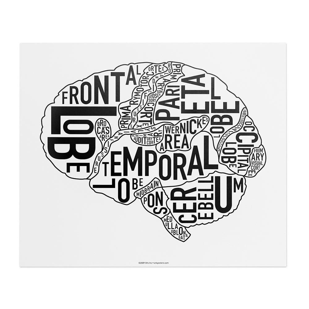 Typographic Anatomical Brain Diagram Print