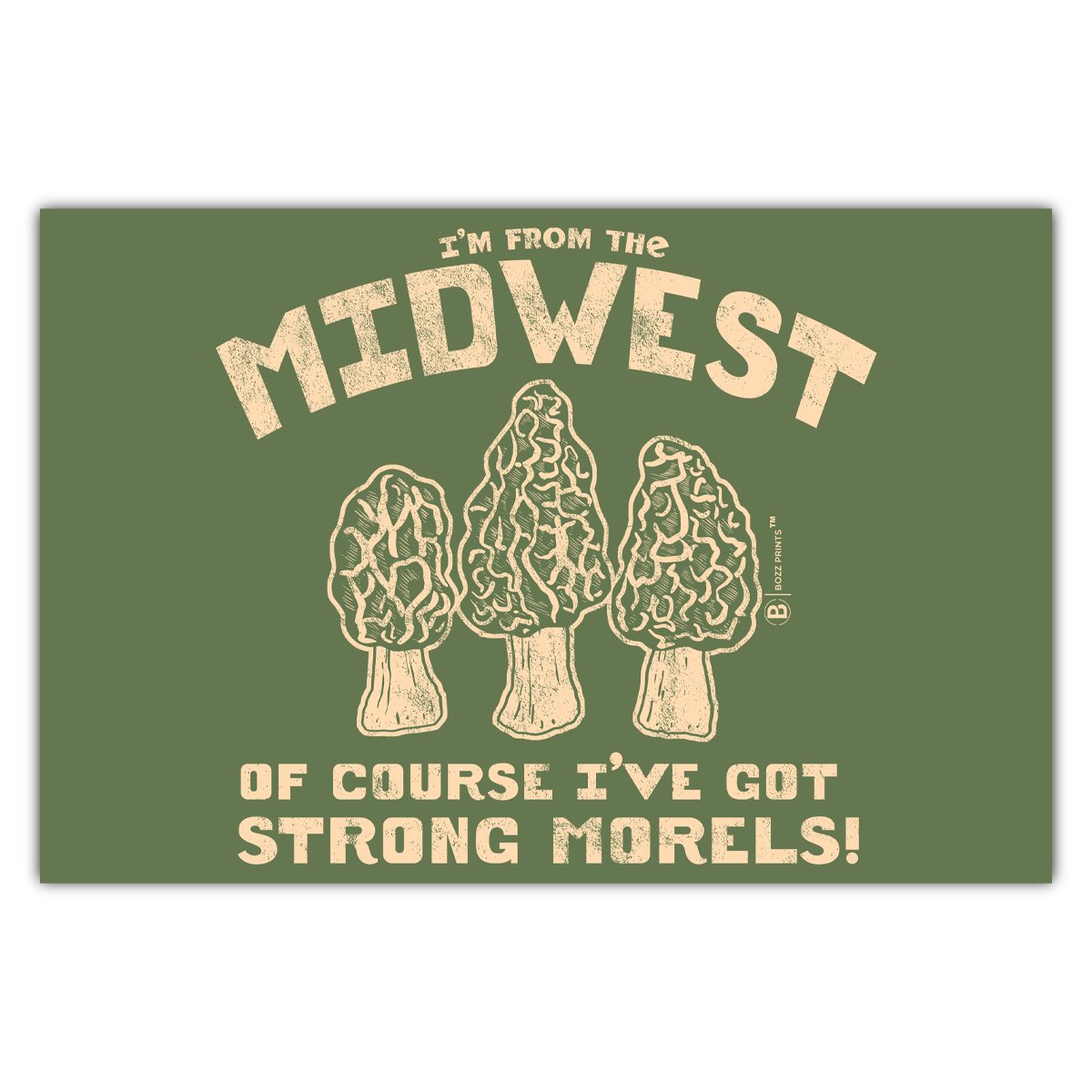 Midwest Morels Postcard