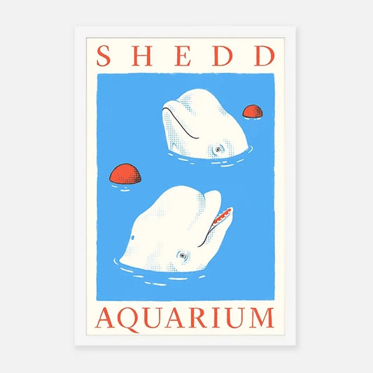 Chicago's Shedd Aquarium Beluga Whales 12" x 18" Screenprint