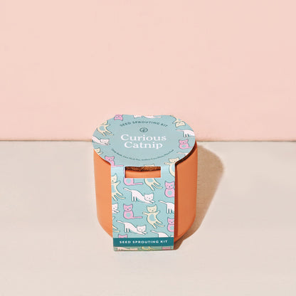 Tiny Terracotta Grow Kit
