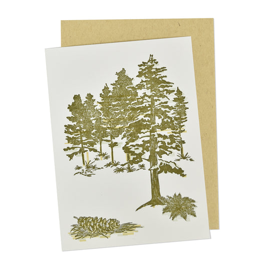 White Pines State Park Evergreen Tree Letterpress Card