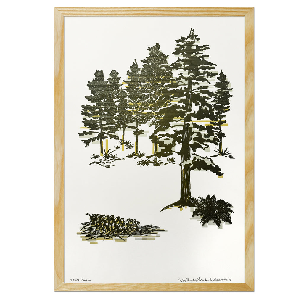 White Pines 12" x 18" Tree Letterpress Print