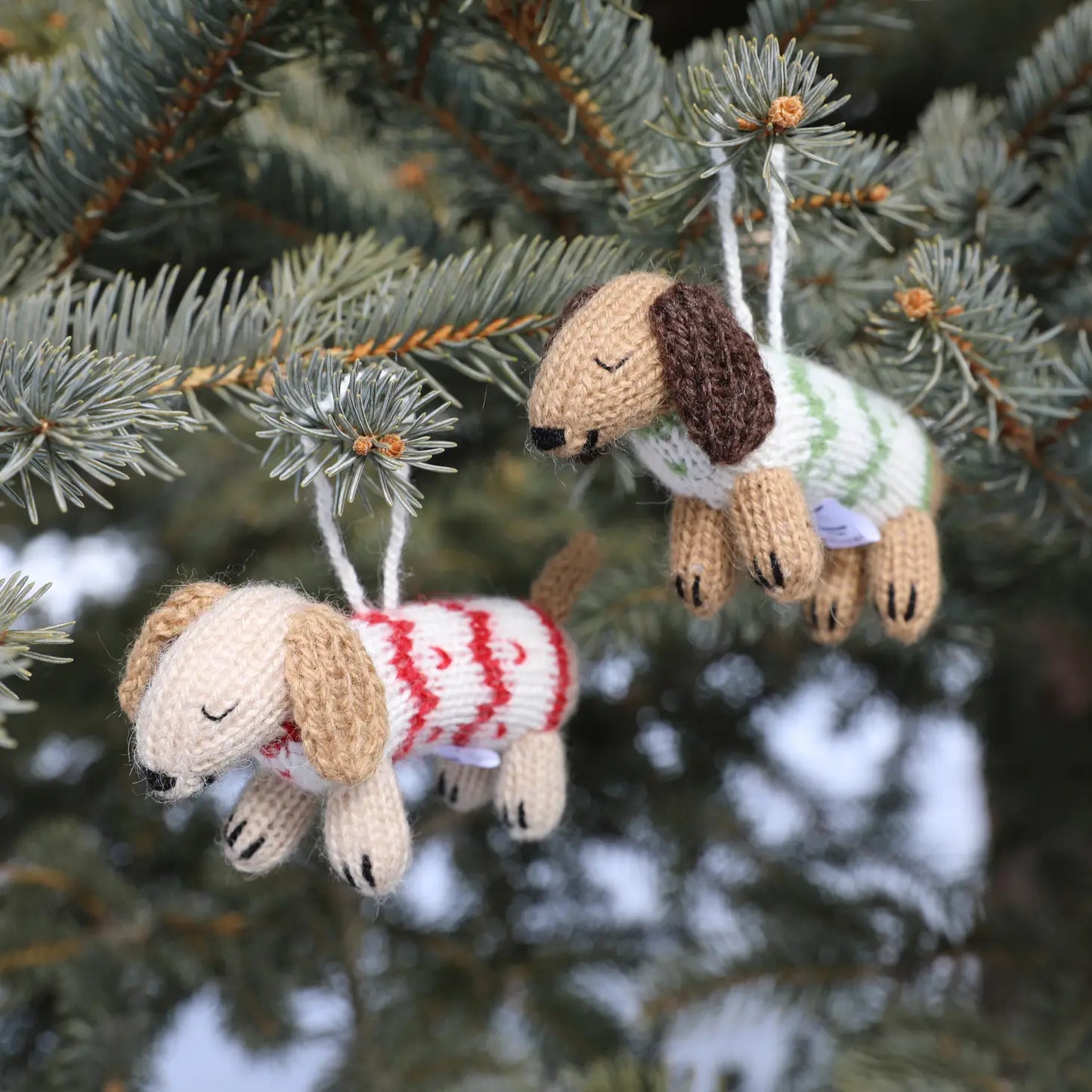 Dachshund Dog in Sweater Knit Ornament