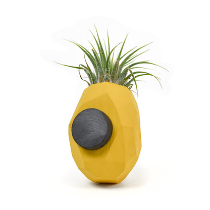 Pineapple Magnetic Air Plant Holder