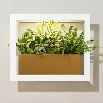 Wall-Mountable Metal Grow Frame with Grow Light