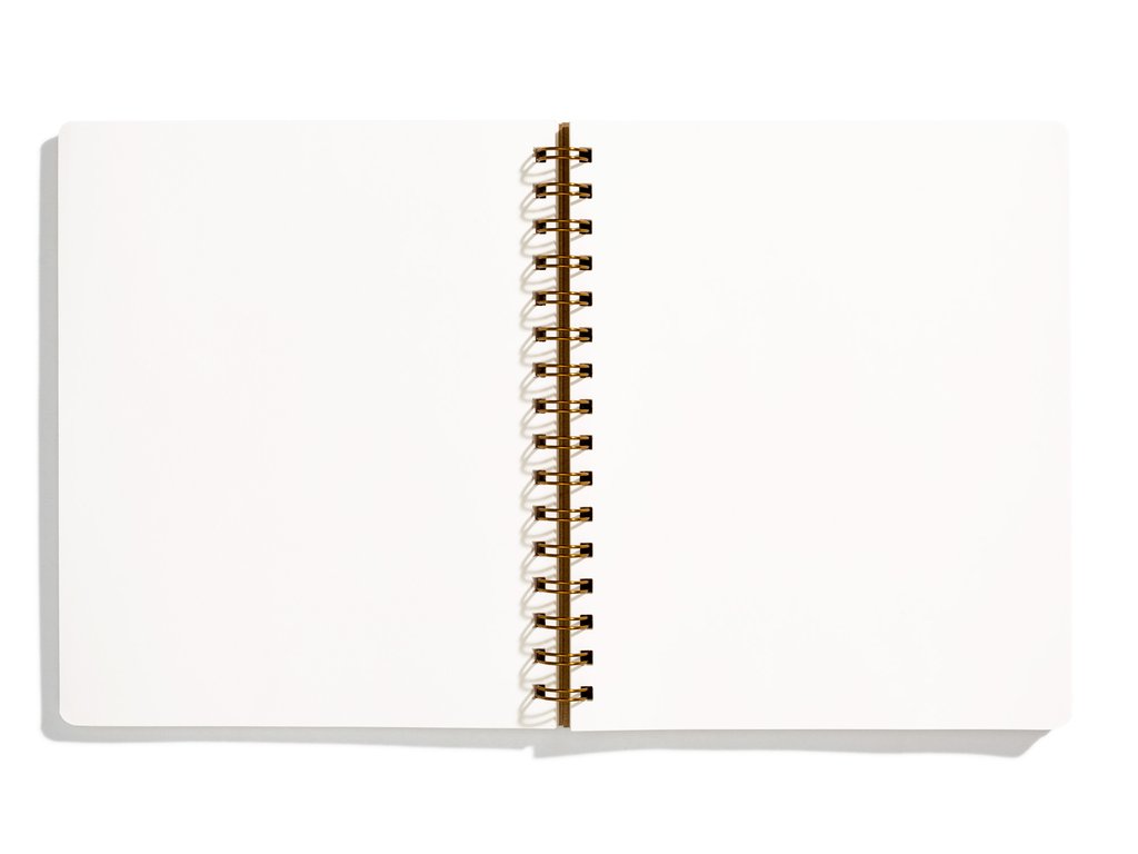 The Standard Spiral Ruled or Blank Notebook