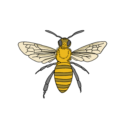 Honey Bee Temporary Tattoo