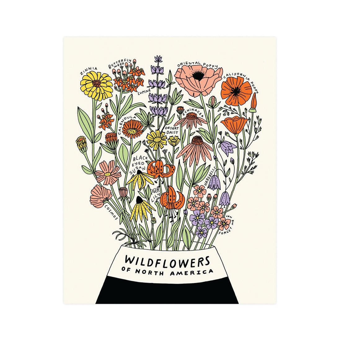 Wildflowers of North America 11" x 14" Botanical Print